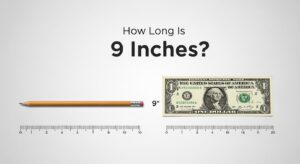 How Long Is 9 Inches?