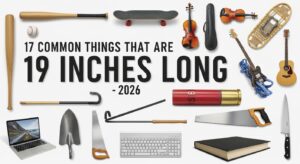 19 Inches Long